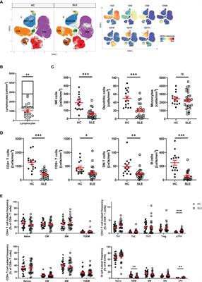 SLAMF Receptor Expression Identifies an Immune Signature That Characterizes Systemic Lupus Erythematosus